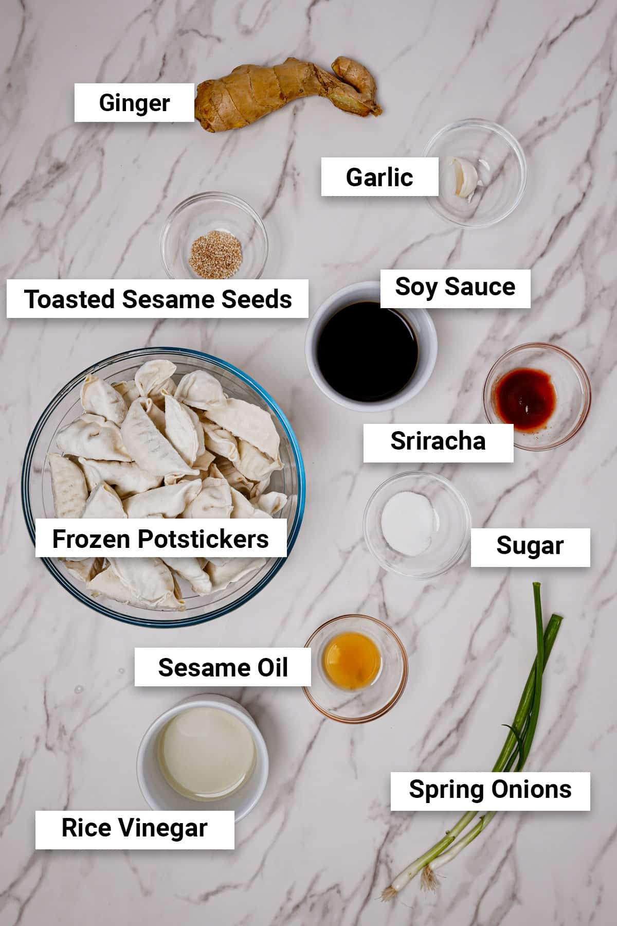 Ingredients for frozen potstickers with dipping sauce