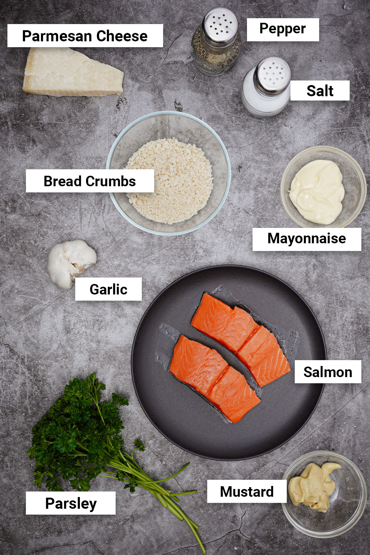 Ingredients for crusted salmon air fryer recipe.