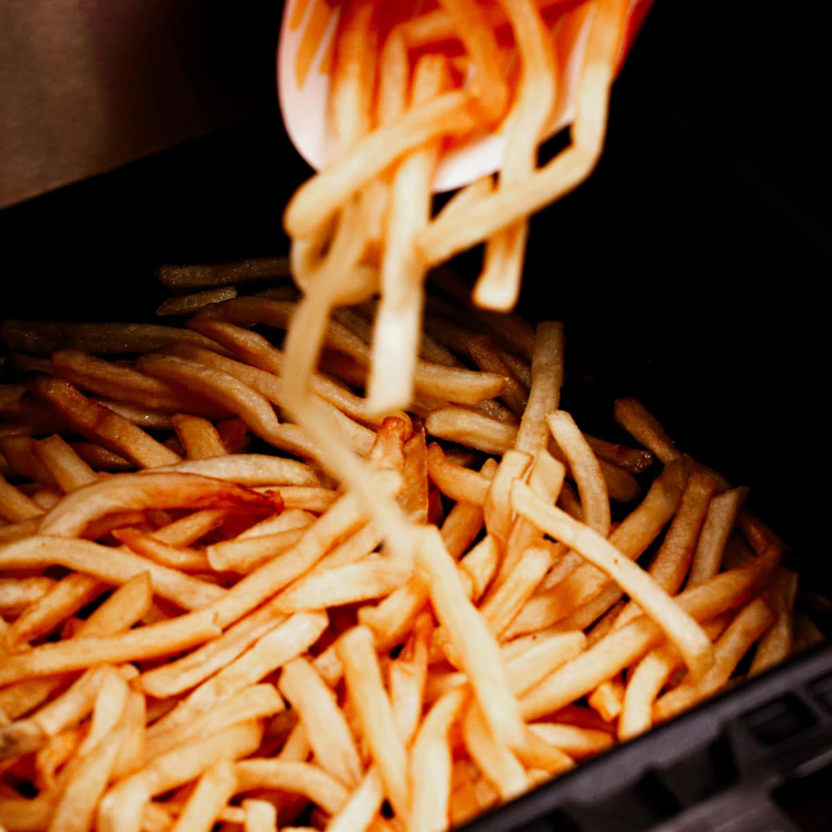 Adding leftover fries to the air fryer basket.